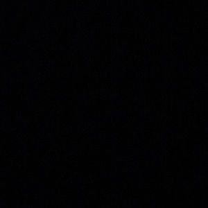 Meet your Posher, Lily